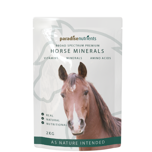 Premium Horse Minerals