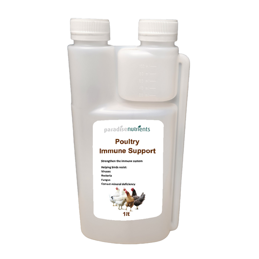 Poultry Immune Support