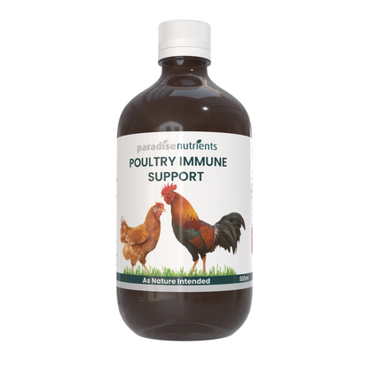 Poultry Immune Support