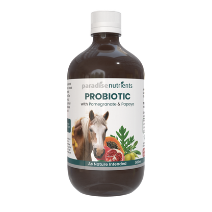 Horse Probiotic Tonic