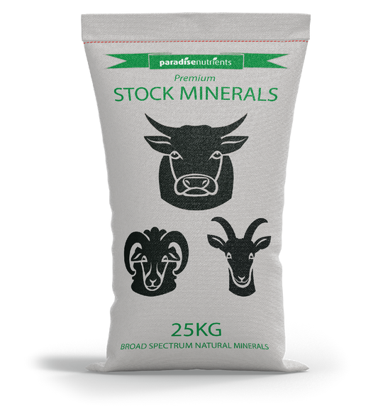 Premium Stock Minerals