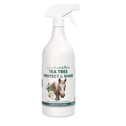 Tea Tree Protect & Shine